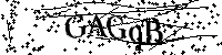 Por favor, escriba las letras y los números siguientes