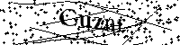 Por favor, escriba las letras y los números siguientes