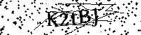 Por favor, escriba las letras y los números siguientes