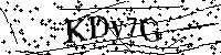 Por favor, escriba las letras y los números siguientes
