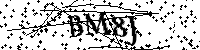 Por favor, escriba las letras y los números siguientes