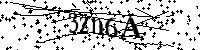 Por favor, escriba las letras y los números siguientes