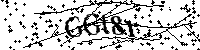 Por favor, escriba las letras y los números siguientes