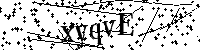 Por favor, escriba las letras y los números siguientes